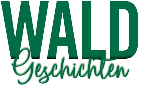 Waldschädling Borkenkäfer Gefahr für den Wald Waldgeschichten