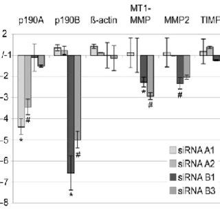 Effect Of P Knockdown On Mmp Mrna Expression Quantitative Rt Pcr