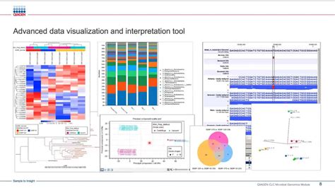 Metagenomic Taxonomic Profiling Using Qiagen Clc Genomics Workbench