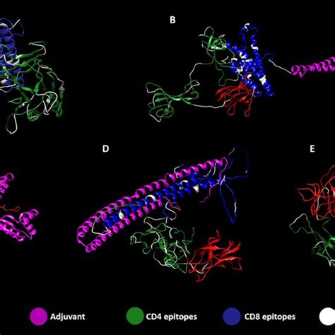 Tertiary Structure Of Zikvac A With Highlighted Epitopes Flanked By