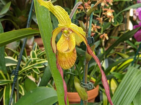 January 3 Week 1 Garden Photos | Home & Garden Information Center