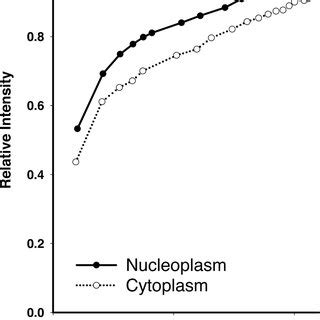 Dynamics Of GFP Actin In Living HeLa Cells HeLa Cells That Stably