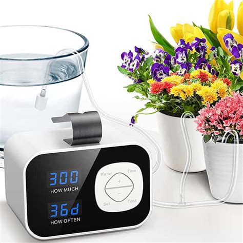 The Best Automatic Plant Waterers In Rhythm Of The Home