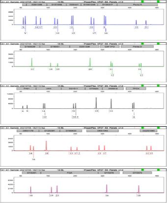 ID CELL FORENSICS Tech Detail STR