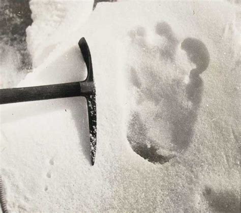 Does The Yeti Exist Climber Finds Chilling New Evidence Daily Star