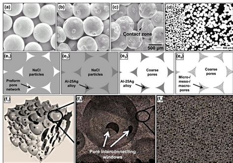 Sem Micrographs Of The Fracture Surface Microstructure Of Porous Ti