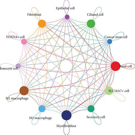 Network Of 12 Types Of Intercellular Interactions In LUAD A Heat Map