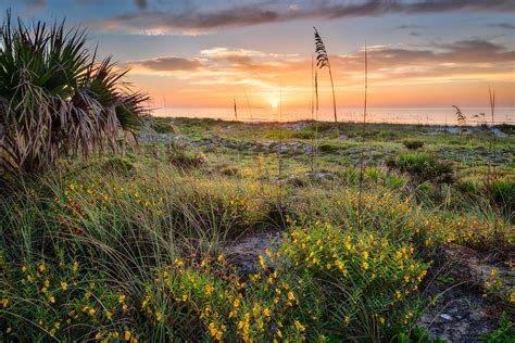 Timucuan Preserve::Will Dickey Florida Nature Photography - Images of ...