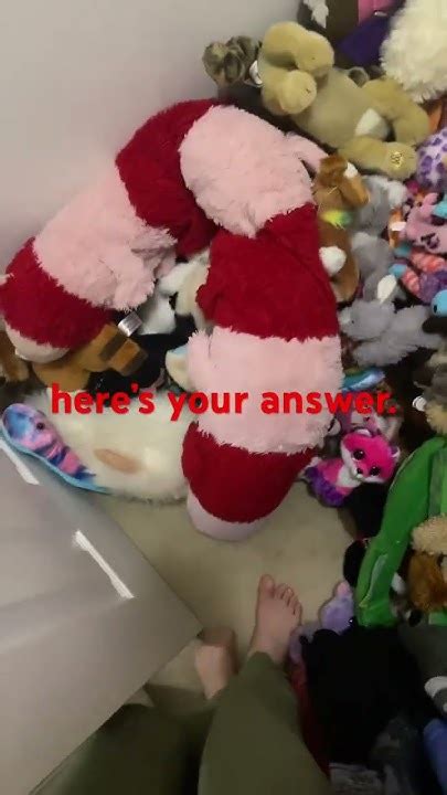 My Huge Beanie Booplushie Collection 🤪 Youtube