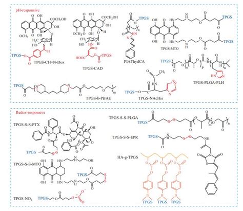 Recent Advances of D α tocopherol Polyethylene Glycol 1000 Succinate