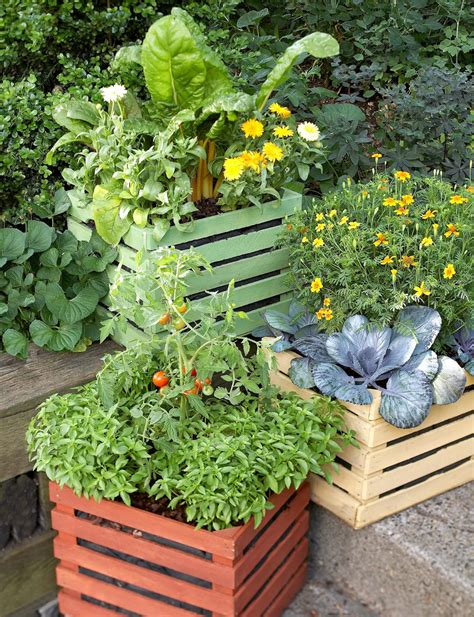 How To Grow Root Vegetables In Containers At Thomas Underwood Blog