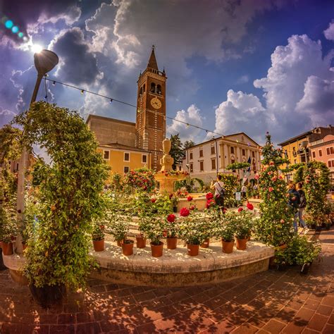 Verona is one of the world's top young universities