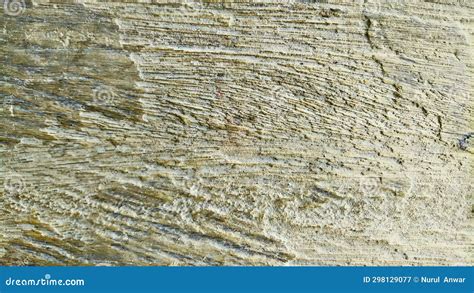 Rough dry wood texture stock image. Image of aged, colours - 298129077