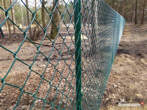 Siatka Ogrodzeniowa Z Monta Em Ogrodzenie Z Siatki Mst W Sprzedajemy Pl