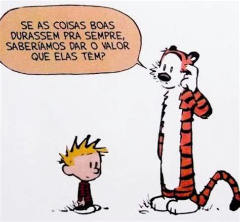 Calvin E Haroldo Hist Ria Tirinhas Ltima Tirinha E Enem