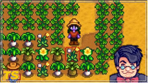 Stardew Valley Expanded Joja Run Part 15 01 21 23 YouTube