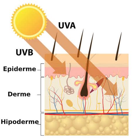 Estética Beleza e Skincare Diferenças UVA x UVB