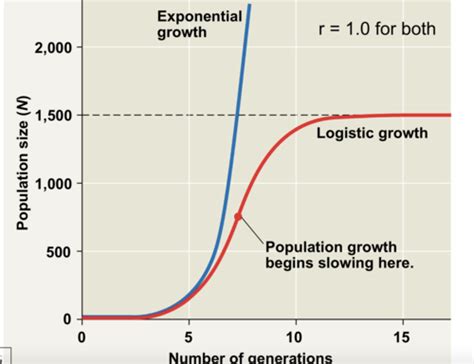 Logistic Population Growth Flashcards Quizlet