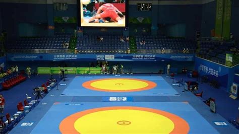 Five Indian wrestlers selected for Asian Olympic qualifiers - Hindustan ...