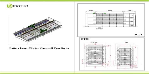 Chicken Cage Layout | Henan Dingtuo Group