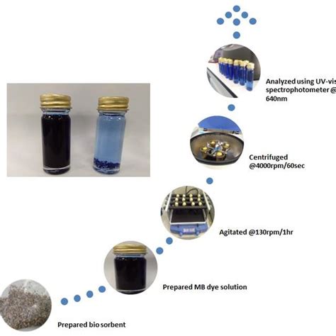 flowchart of the biosorption process | Download Scientific Diagram