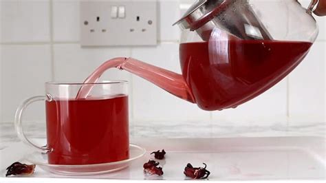 Hibiscus Tea For Weight Loss Yummieliciouz