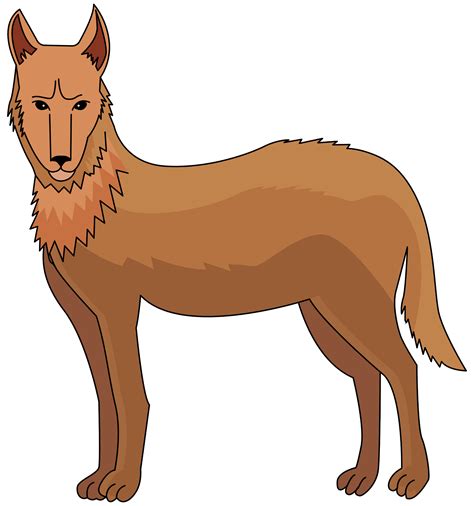 Free Dingo Dogs Download Free Dingo Dogs Png Images Free Cliparts On