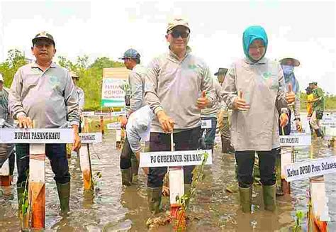 Hari Lingkungan Hidup Sedunia Bupati Pasangkayu Dampingi Pj Gubernur