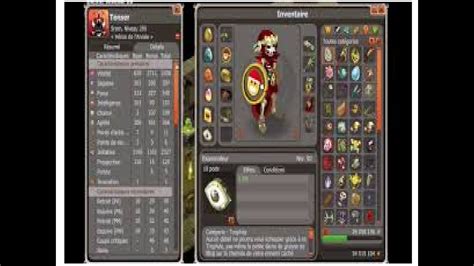 Dofus Fr Sram Lvl Solotage Du Missiz Frizz Donjon Youtube