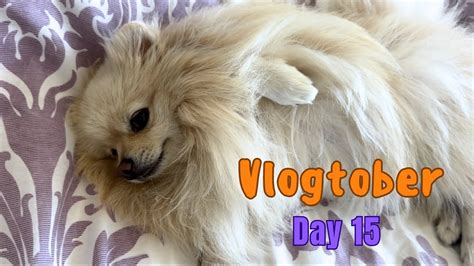 Vlogtober 2023 Day 15 YouTube