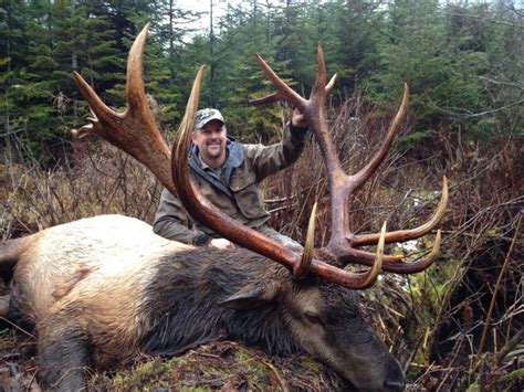 British Columbia Elk Hunting Trips Premier Outfitters