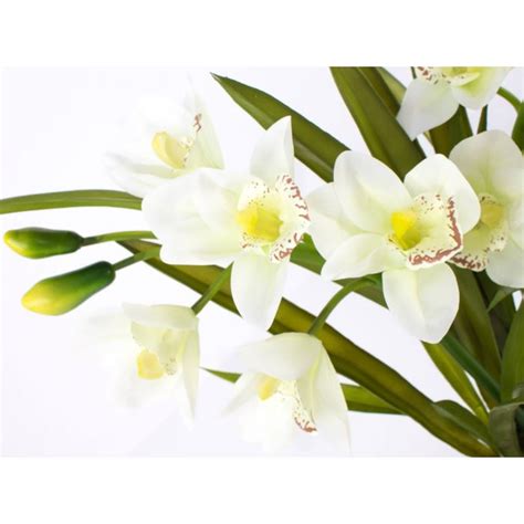 Acheter Des Orchid E Artificielle