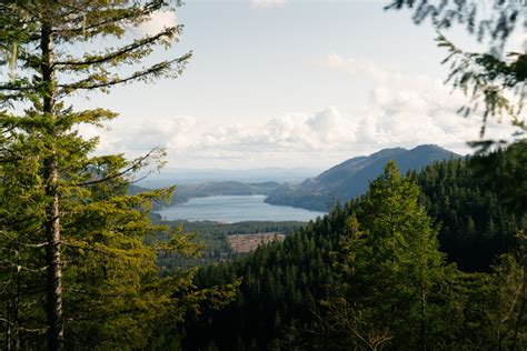 Guide to Exploring Lake Cushman: Hiking, Camping, & More! · Anna Tee