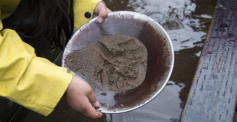 Free Gold Panning | Silverton, Colorado