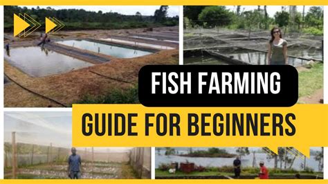 Fish Farming Guide Fish Breeding Fish Farming At Home Pearl Fish