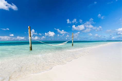 Sunny Tropical Beach With Exotic Photograph By Levente Bodo Fine Art