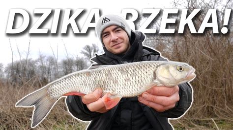 Feeder Na Dzikiej Rzece Youtube