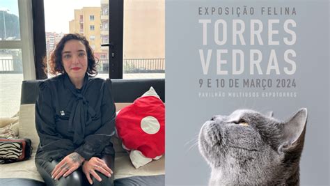 Aqui H Gato Exposi O Internacional Felina Est A Chegar A Torres