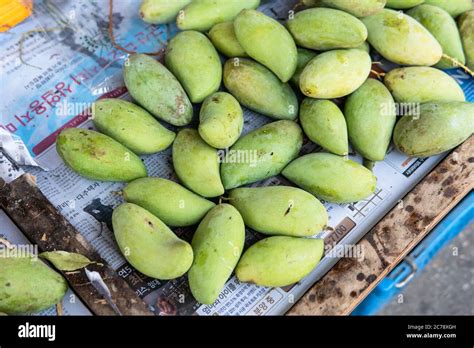 Green Mangoes Lying On A Market Counter Exotic Fruits Of Asia Stock