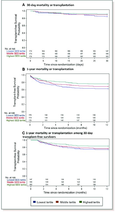 Kaplan Meier Curves For A 30 Day Mortality Or Cardiac Download Scientific Diagram