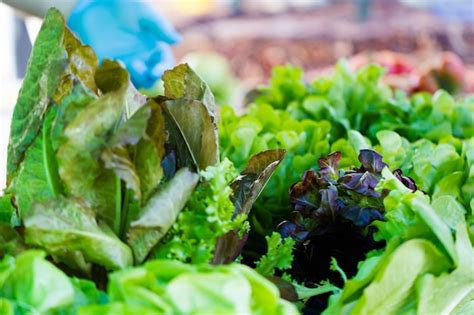 Premium Photo | Fresh produce at the local Farmers Market.