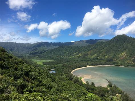 ka  awa hawaii leasezik