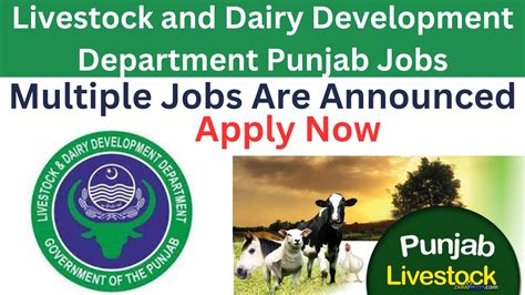 Livestock And Dairy Development Department Punjab Jobs 2024