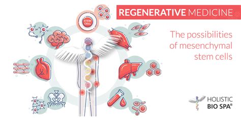 How Does Regenerative Medicine Work Puerto Vallarta Clinic