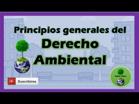 DERECHO AMBIENTAL Principios Generales YouTube