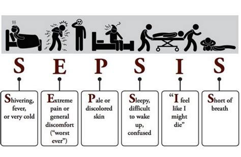 What Is Sepsis And Septicemia Definition Icd 10 Symptoms Criteria Treatment