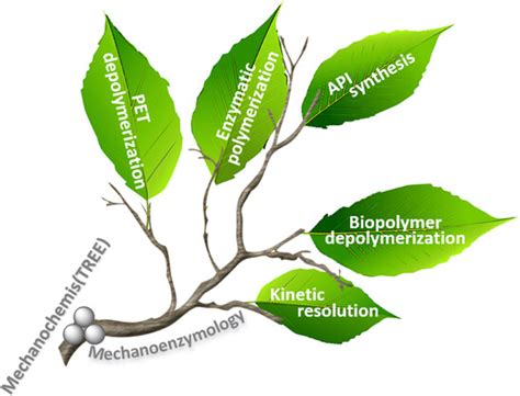 Methods and Applications in Mechanochemistry: Chemistry–Methods ...