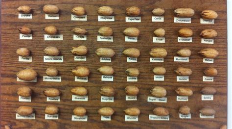 B And B Pecan Co 2025 All You Need To Know Before You Go With Reviews