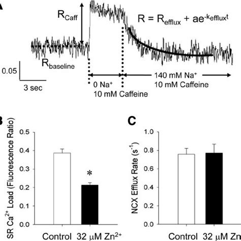 Measures Of Na Ca Exchanger Ncx Efflux Rate And Total Sr Ca