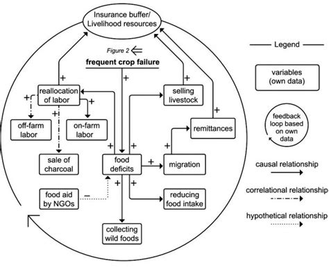 Feedback Loop Diagram